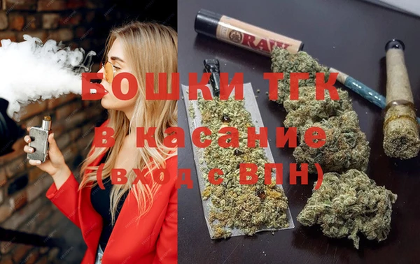 дурь Тавда