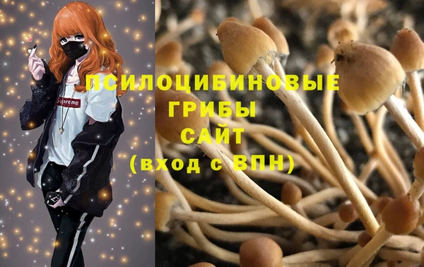 трава Кодинск