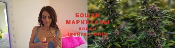 трава Кодинск
