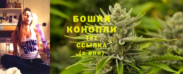 трава Кодинск