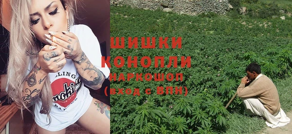 spice Козловка