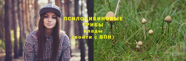 трава Кодинск
