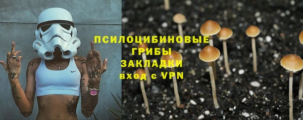 МДПВ Козельск