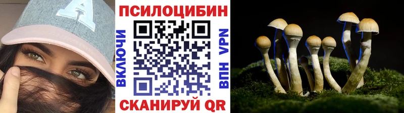 Купить закладки  Константиновск  Псилоцибиновые грибы прущие грибы 